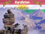 vive les kurde